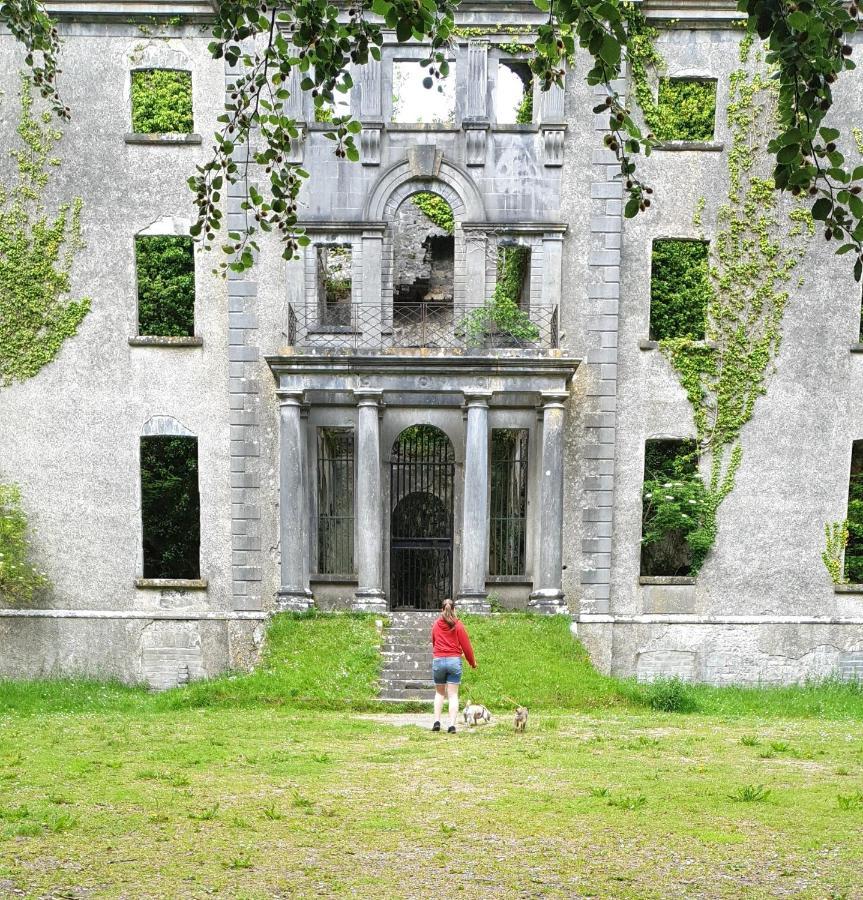 Reed Warbler Cottage Ballinrobe Buitenkant foto