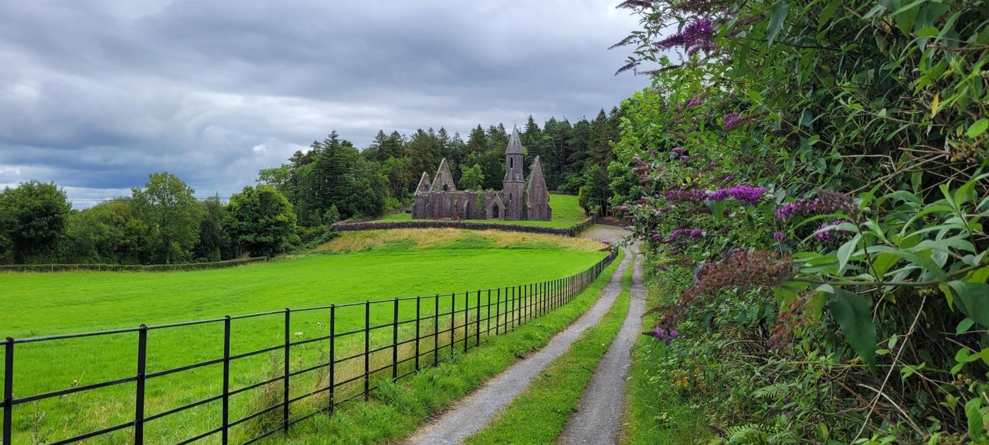 Reed Warbler Cottage Ballinrobe Buitenkant foto